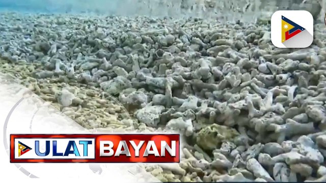 Wala nang buhay na marine ecosystem, tumambad sa underwater survey ng PCG sa Rozul Reef at Escoda Shoal