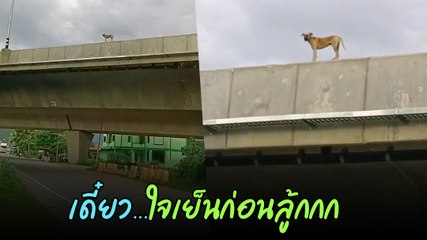 ชีวิตคือการท้าทาย แต่เดี๋ยวนะ... ลงมาก่อนลู้กกก เห็นแล้วใจหายใจคว่ำ