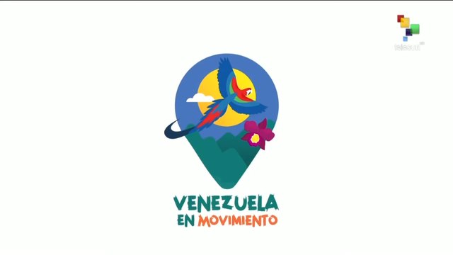 Venezuela en Movimiento: Producción de papa contribuye a la soberanía alimentaria del país