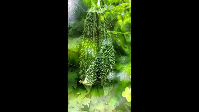 Food Facts #fact #benefits #food #amazingfacts #interestingfacts #interestingfact #interesting