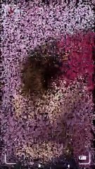 Virall!!The High School Teen Who Is Hot Virall