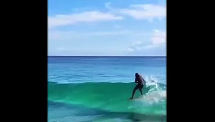 Hombre por surfear con una enorme serpiente