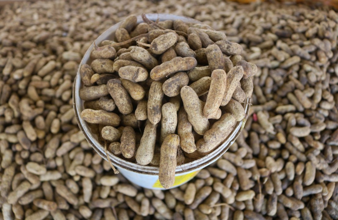 Eating nuts can spice up your sex life