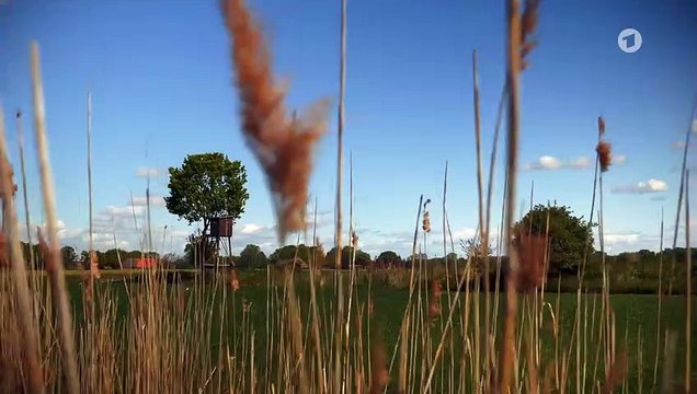 Rote Rosen 3830 folge