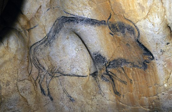 Belles Betes L'exposition temporaire de la Cité de la Préhistoire de L'Aven d'Orgnac