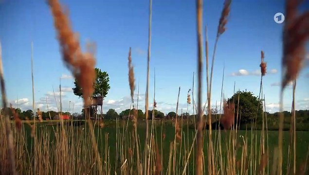 Rote Rosen 3830 folge