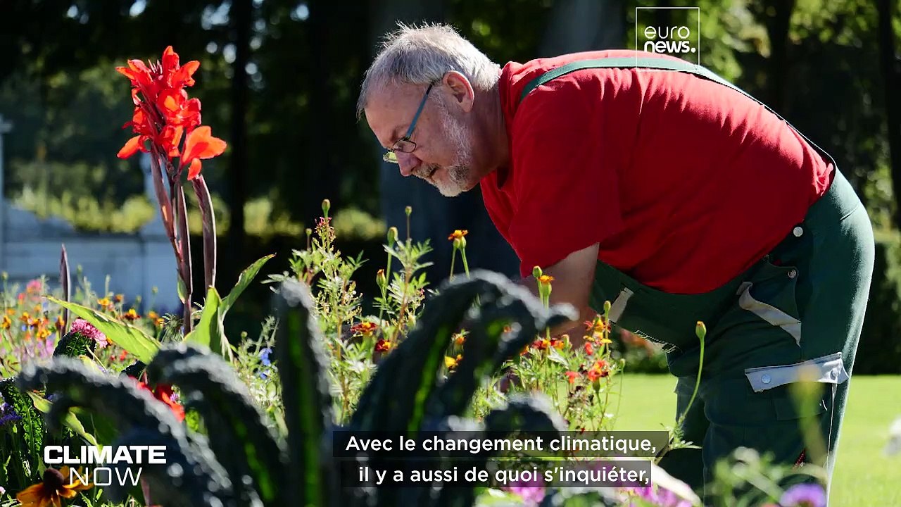 Comment le changement climatique menace les sites du patrimoine mondial ?