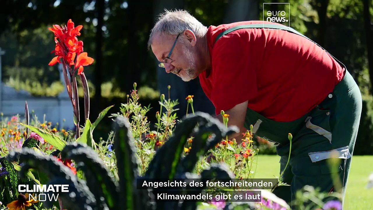 Wie der Klimawandel das Weltkulturerbe in Potsdam bedroht