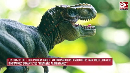 Los brazos del T-Rex evolucionaron hasta ser cortos para protegerse