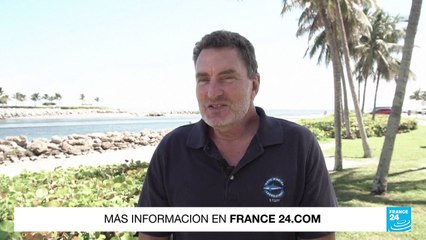 El mero gigante está en peligro debido a la retoma de su pesca en las aguas de Florida