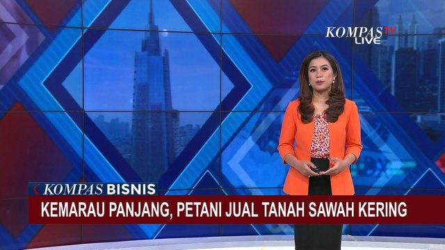 Kemarau Panjang di Grobogan, Petani Jual Tanah Sawah Kering