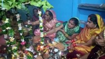 Video Story - फुलेहरा सजाकर की शिव-पार्वती पूजा अर्चना, पति की दीर्घायु के लिए की प्रार्थना
