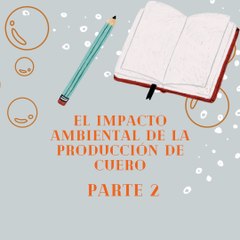 Jose Antonio Haua Maauad: Riesgos para los trabajadores del cuero (parte 2)