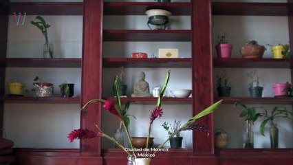 Somos un Ganado | MEXAS