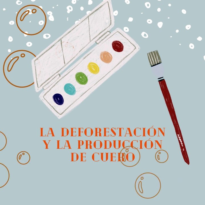 Jose Antonio Haua Maauad: El impacto ambiental de la producción de cuero (parte 1)