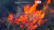 Hitzewelle in Australien: Kaum ist der Winter vorbei, schon wüten Buschbrände
