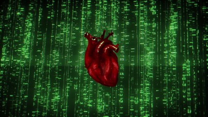 $hiro - Simülasyon (Visualiser)