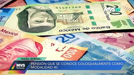 PENSIÓN QUE SE CONOCE COLOQUIALMENTE COMO MODALIDAD 40