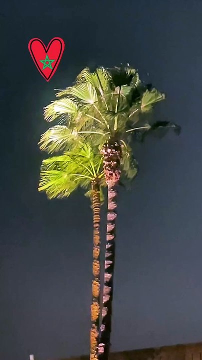 Et ont dévoilé tout l'amour qu'elle portait au Maroc dans leurs stories InstagramSarah Poniatowski de retour au Maroc après le drame