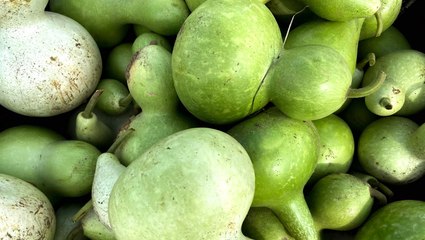 What Are Gourds—and Are They Safe to Eat?