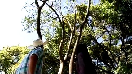 20. La Herencia, Un Legado de Amor