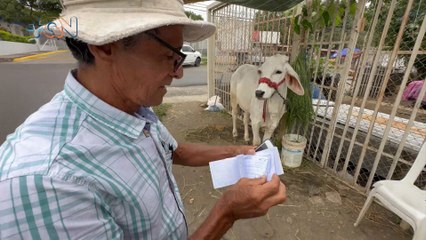 mqn-Fadrique tiene 30 años de llevar en Turrúcares y el premio mayor tiene 4 patas-180923