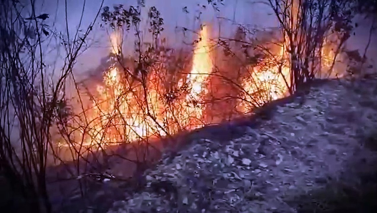Alerta roja en el departamento cruceño por incendios forestales y sequía