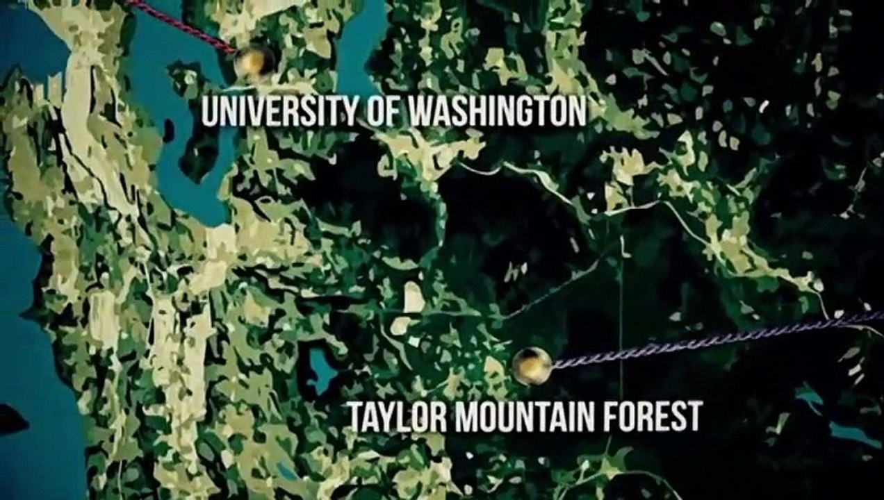 World's Most Evil Killers Season 3 Episode 4 - Ted Bundy