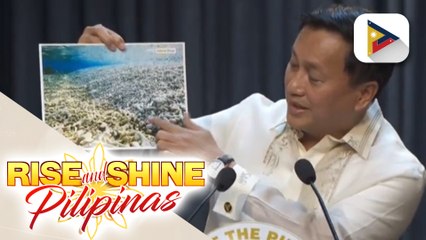 Mga senador, kinondena ang pagkasira ng mga bahura sa West PH Sea
