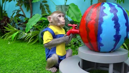 KiKi Monkey fixes Building Block Lego Car and explores Gumball Machine _ KUDO ANIMAL KIKI