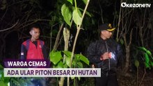 Cari Rumput, Nenek Hilang di Hutan Buton Belum Ditemukan