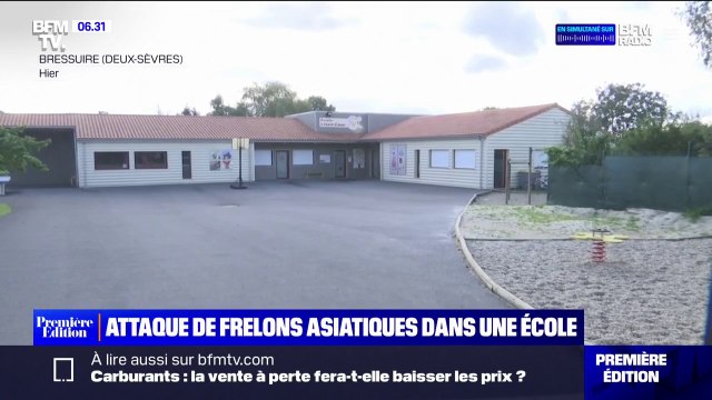 Deux-Sèvres: une attaque de frelons asiatiques sème la panique dans une école
