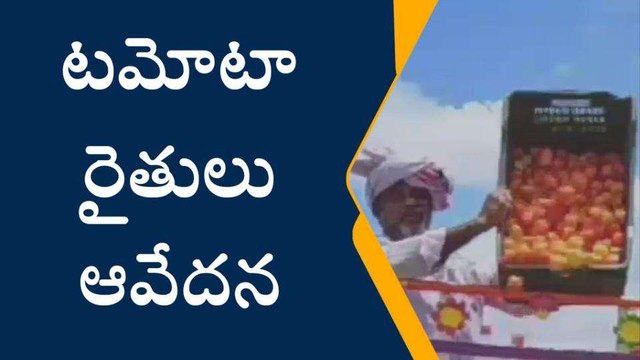 కర్నూలు జిల్లా: భారీగా పడిపోయిన టమాట ధర... రోడ్డుపై పడేసి..