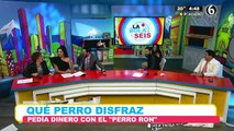 ¡De reversa! los conductores hacen de las suyas en el foro