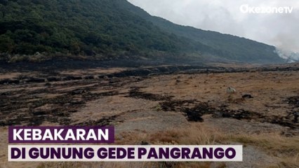 Kebakaran di Gunung Gede Pangrango Berhasil Dipadamkan