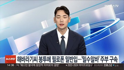 Download Video: 해바라기씨 봉투에 필로폰 밀반입…'밀수 알바' 주부 구속