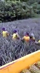 Trust Yourself and Your Team #shorts #viral #shortsvideo #video #innovationhub