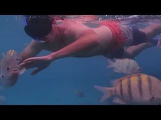 Snorkeling At Isla Mujeres' Garrafón Castilla