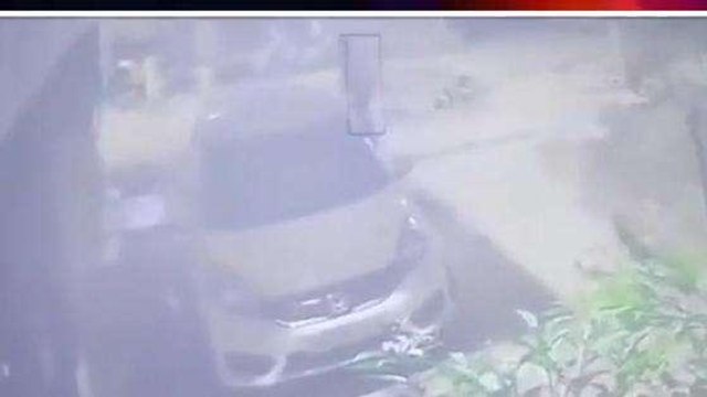 मुरादाबाद: कुत्ते के बच्चे के साथ युवक ने दिखाई हैवानियत,वीडियो देख आपका खौल उठेगा खून