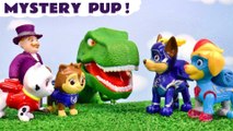 Paw Patrol Mighty Pups Rescue Story With The Kitty Crew
