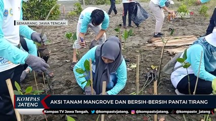 Aksi Tanam Mangrove dan Bersih-bersih Pantai Tirang