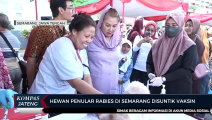 Hewan Penular Rabies di Semarang Disuntik Vaksin