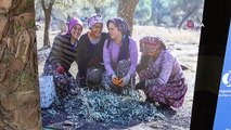 Ayvalık Zeytin Müzesi'nde kadın zeytin çiftçilerine sektörel eğitim