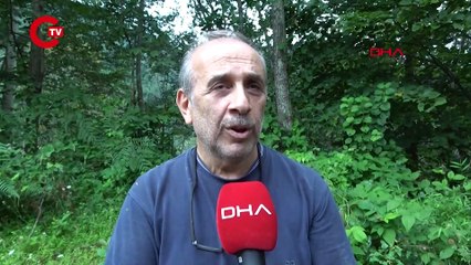 Define için ormana iş makinesiyle girdiler Yol açıp, çukur kazmışlar!