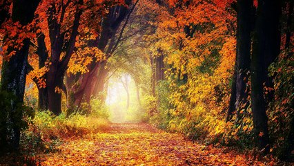 SERENITY LULLABIES | 10 Of The Best Gentle Music Tracks For Sleep, Relaxation and Stress Relief