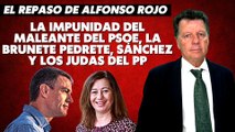 Alfonso Rojo: “La impunidad del maleante del PSOE, la Brunete Pedrete, Sánchez y los judas del PP”