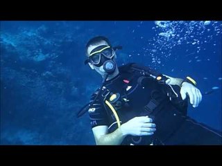 Diving at Directorsbaai, Curacao