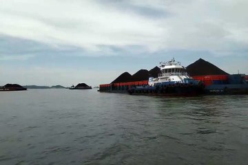 Belasan Kapal Tongkang Batu Bara di Laut Tanjung Batu