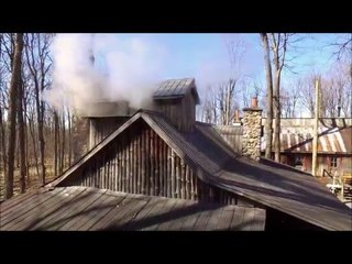DRONE!!! Sucrerie De La Montagne During Maple Syrup Harvest Season