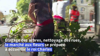 A Paris, le marché aux fleurs se prépare à la visite du roi Charles III